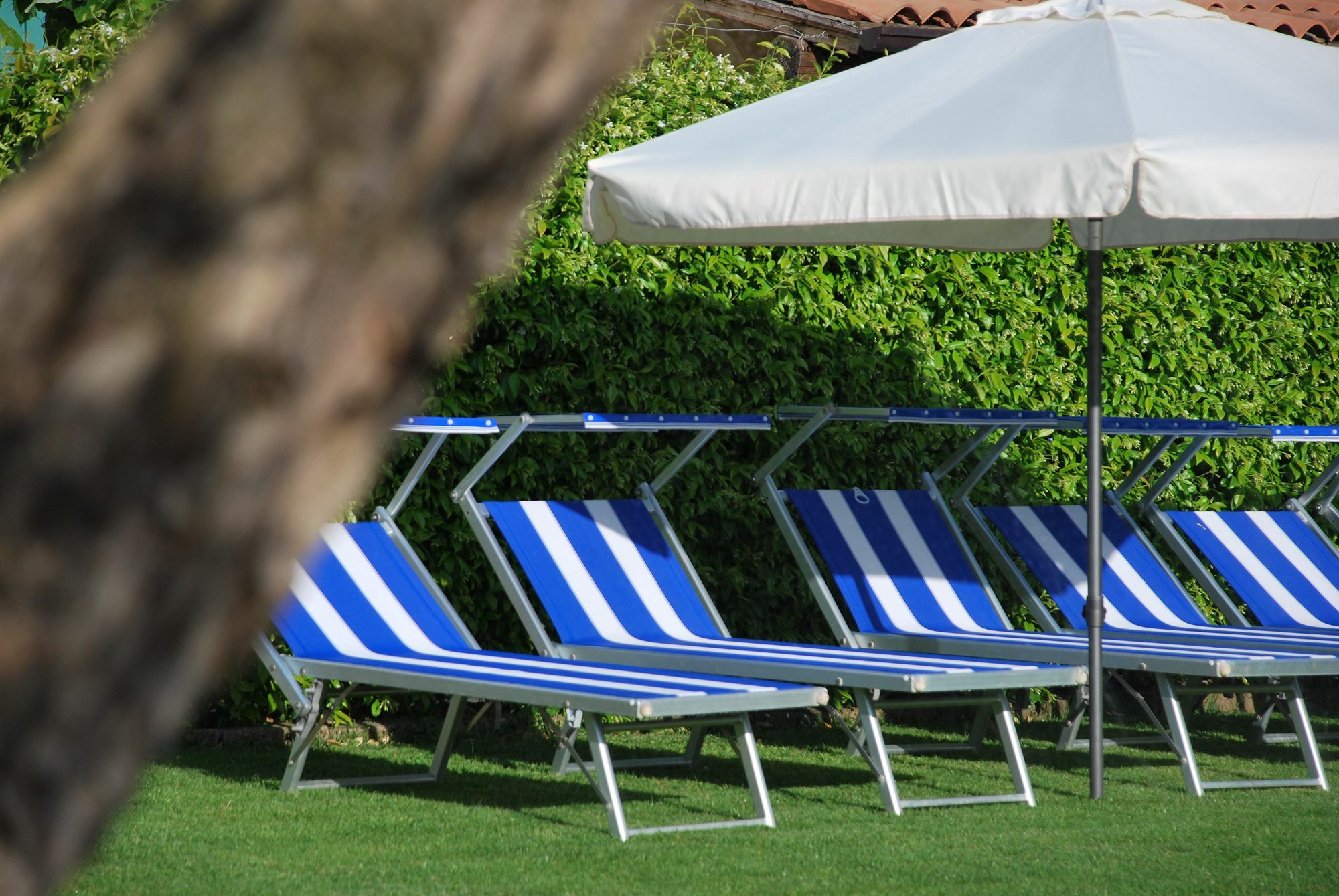 Bed and Breakfast La Tinassara à Lazise Extérieur photo